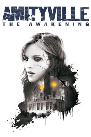 Amityville: The Awakening (2017) Hindi Dual Audio 720p BluRay [800MB]