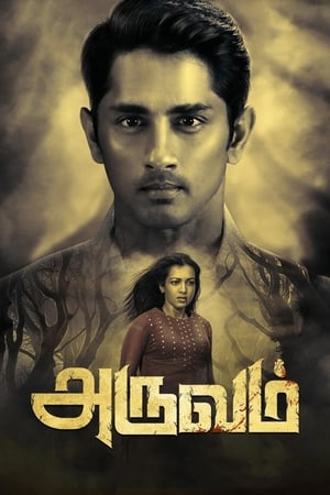 Aruvam (2019) (Hindi -Tamil) Dual Audio 720p UnCut HDRip [1.4GB]