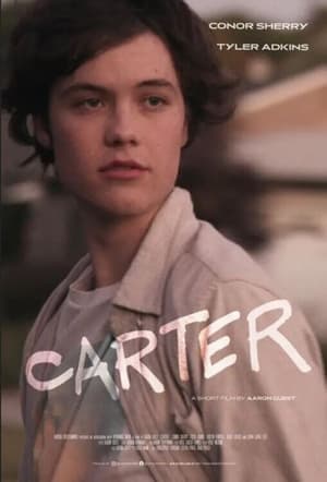 Carter (2022) Hindi Dual Audio HDRip 720p – 480p