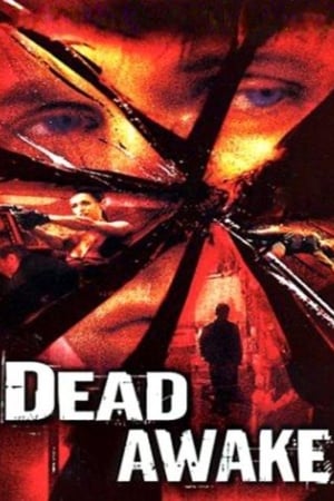 Dead Awake 2001 Hindi Dual Audio 720p WebRip [1GB]