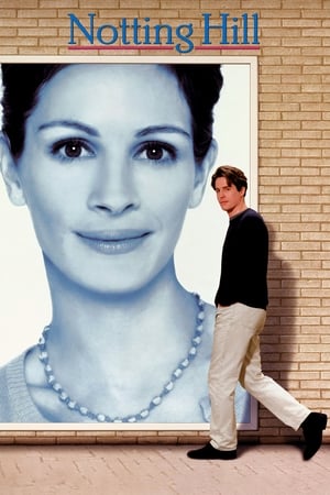 Notting Hill 1999 Hindi Dual Audio 480p BluRay 380MB