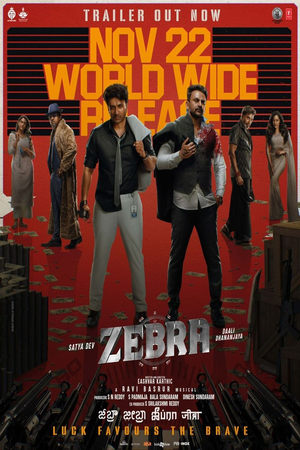 Zebra 2024 Hindi Dubbed CAMRip 1080p